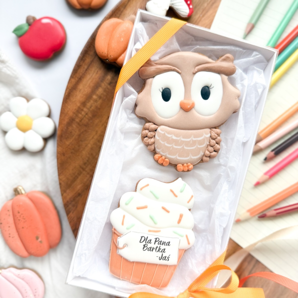 Sowa brązowa z babeczką - zestaw