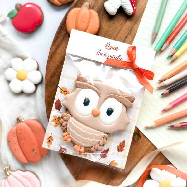 Sowa brązowa - dla Nauczyciela