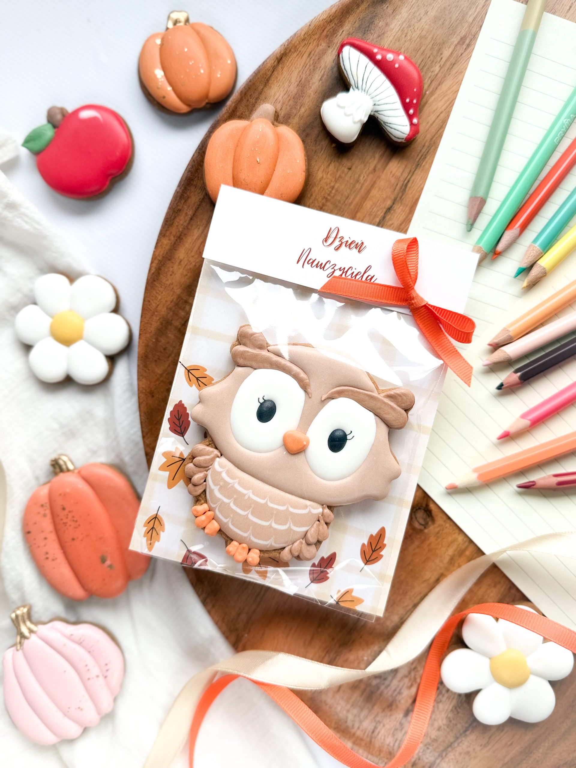 Sowa brązowa - dla Nauczyciela