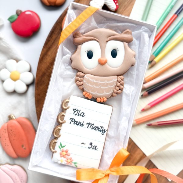 Sowa brązowa z notesem - zestaw