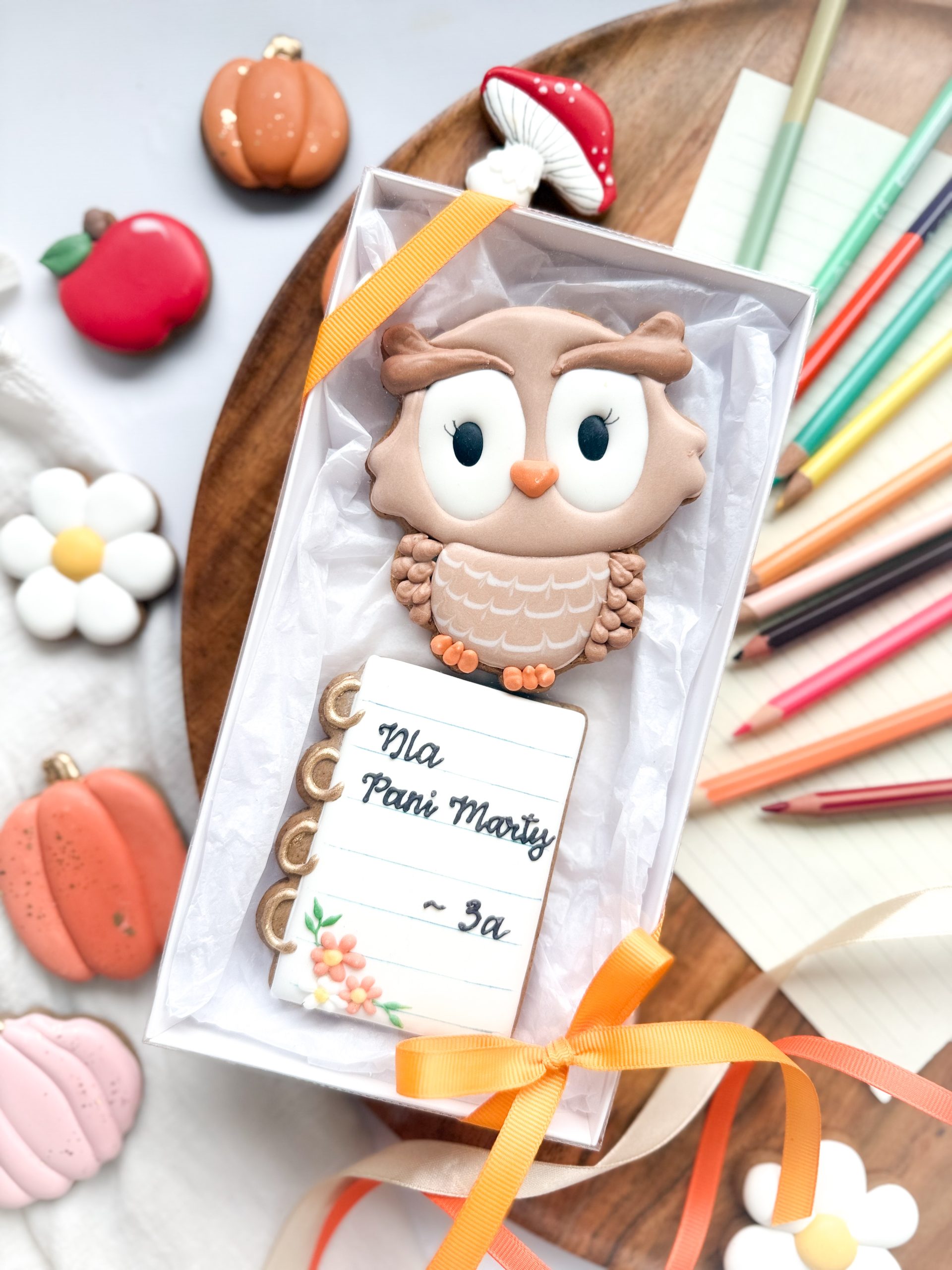 Sowa brązowa z notesem - zestaw