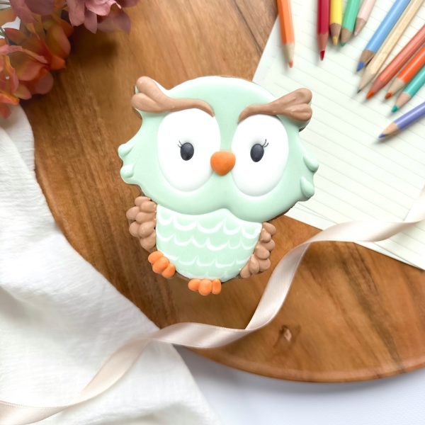 Sowa - dla nauczyciela