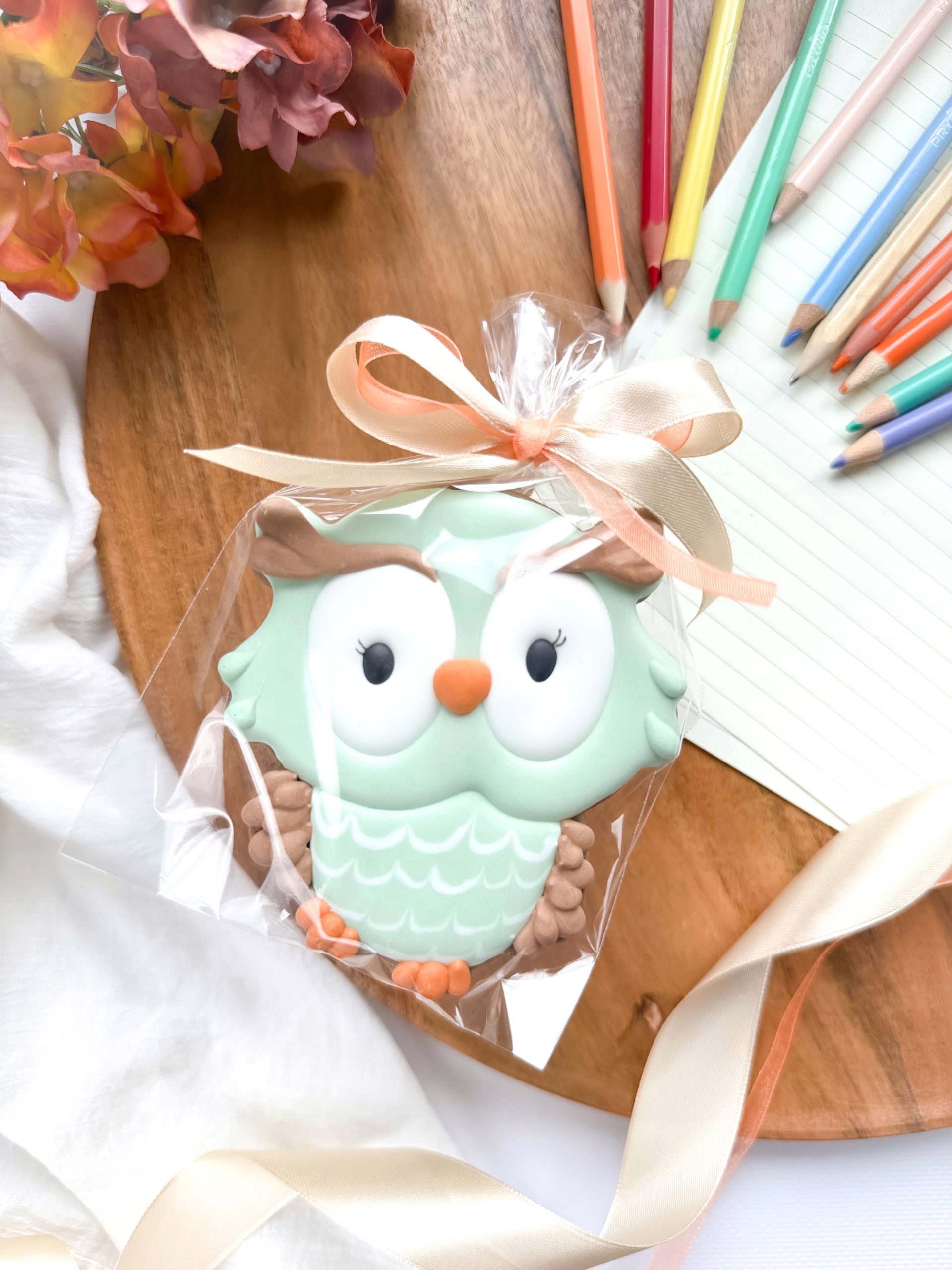 Sowa - dla nauczyciela - obrazek 3