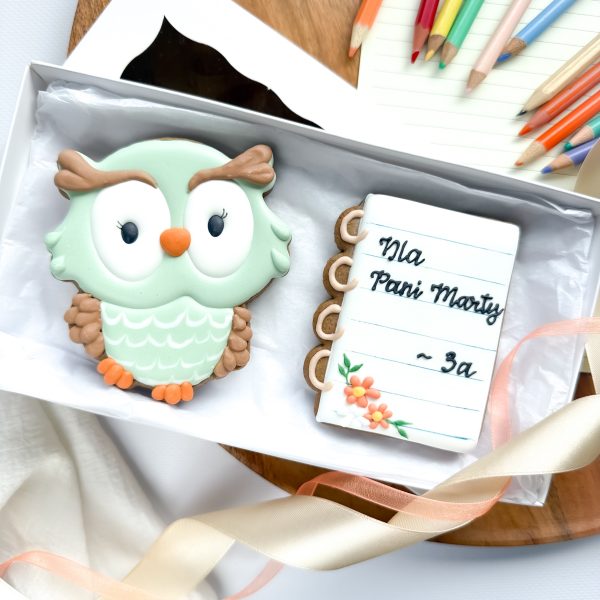 Sowa z notesem - zestaw