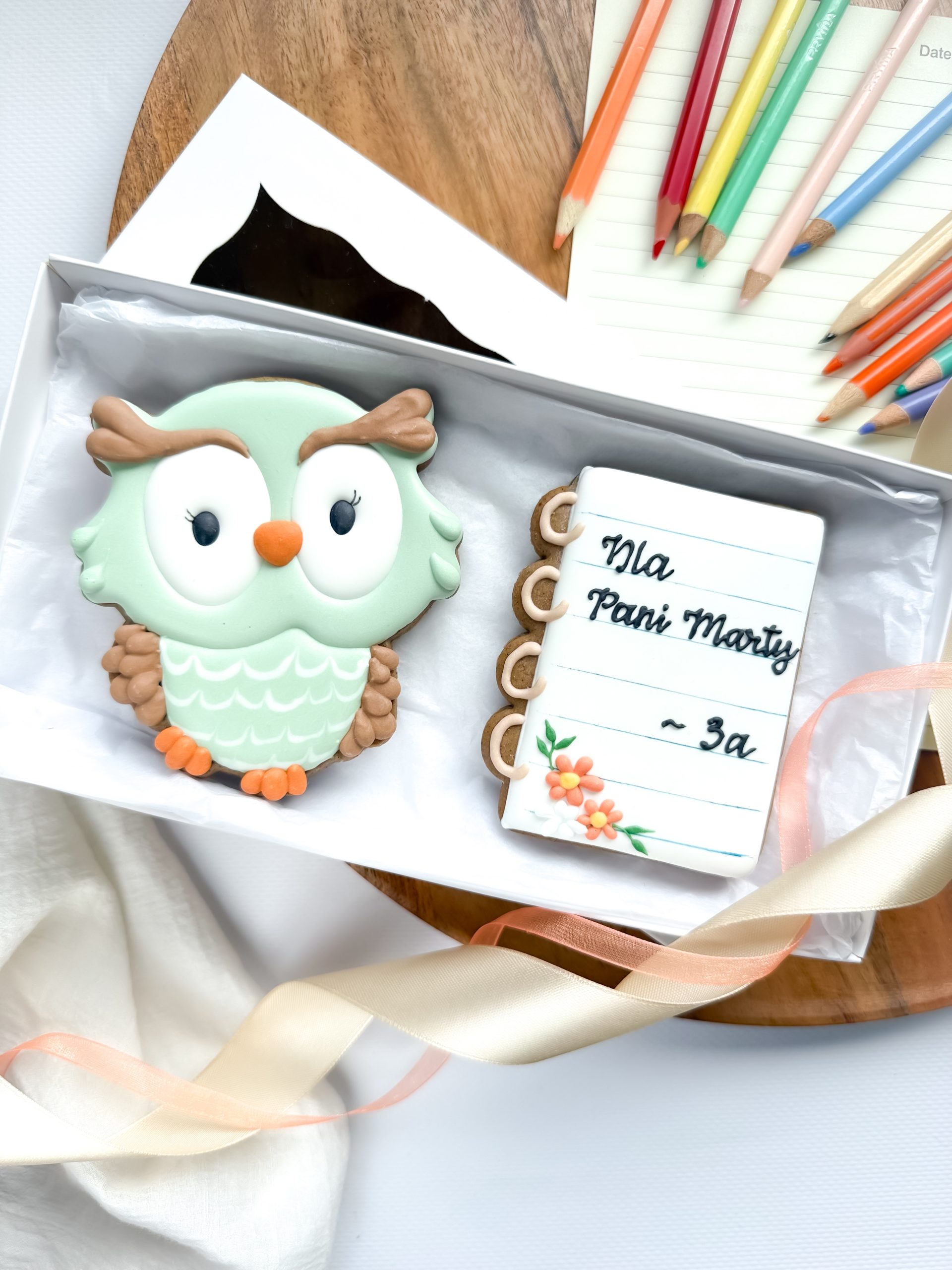 Sowa z notesem - zestaw