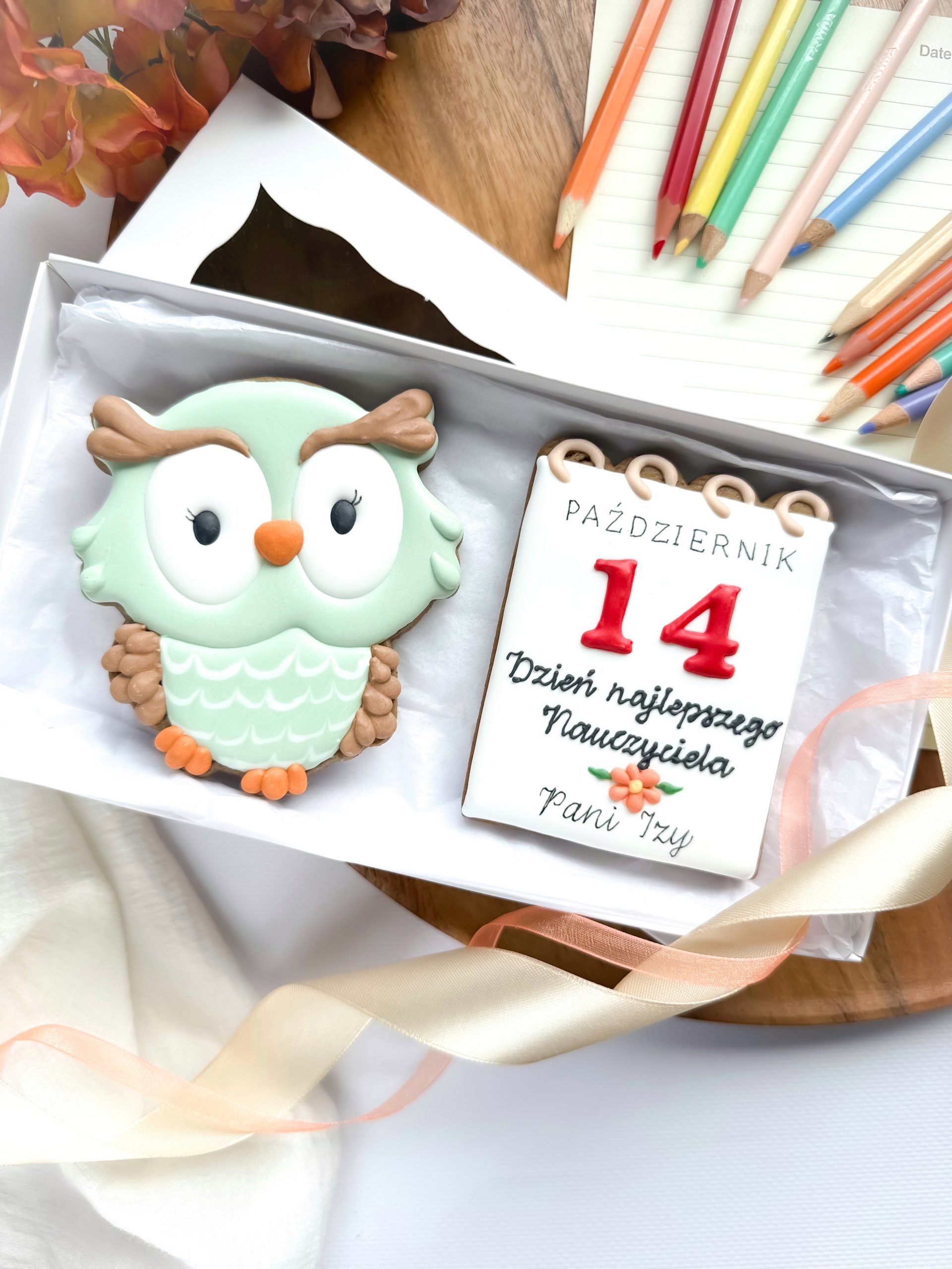 Sowa z kartką z kalendarza - zestaw
